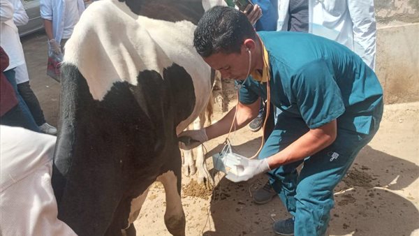 قافلة بيطرية بقرية