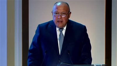 سامح شكري: مصر ترى وجود فرصة للخروج من أزمة سد النهضة