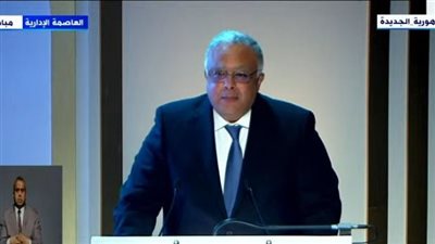 مندوب مصر الدائم بجنيف: الدستور ضمن وجود كيانات إعلامية وصحف تعمل باستقلالية وحياد