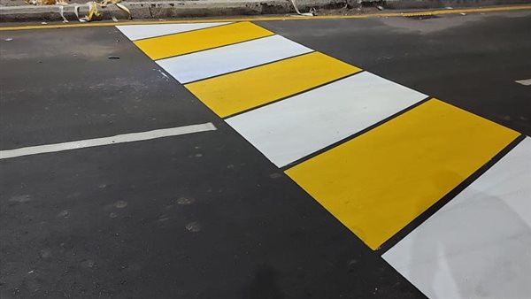 شارع عبد الرحمن شكري