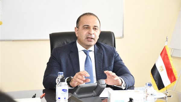 نائب وزيرة التخطيط