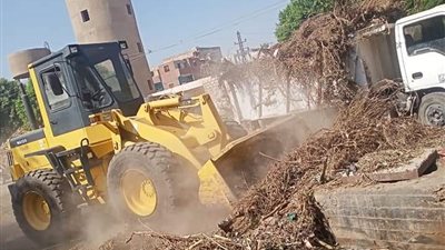 رفع 100 طن قمامة ومخلفات صلبة بالمنيا