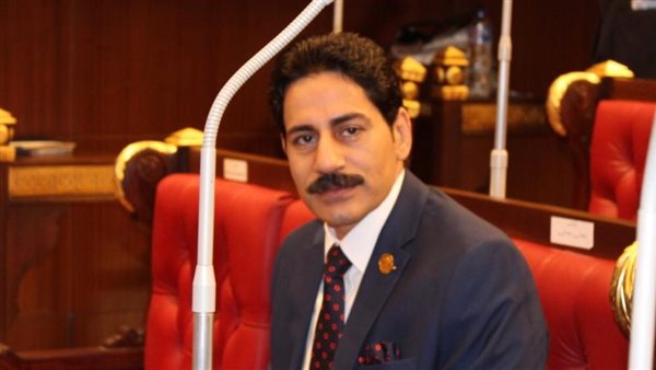 النائب فيكتور فاروق