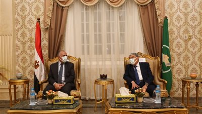 الري: تكريم العاملين بالمشروع القومي لتأهيل الترع بالمنيا