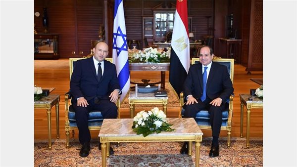 السيسي ورئيس الوزراء