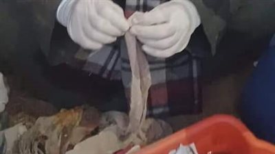 سيدة تقوم برش السحر أمام أحد المنازل في الغربية.. والأهالي يحررون بلاغًا ضدها بقسم الشرطة