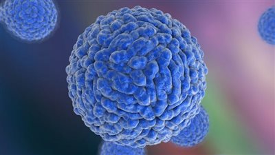 بعد وفاة أول حالة.. ما هو فيروس الحمى النزفية وأهم أعراضها؟