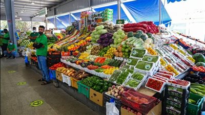 الطماطم بـ 8 جنيهات.. انخفاض في أسعار الخضراوات بالأسواق 