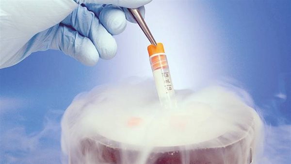 تجميد الأجنة_ تعبيرية