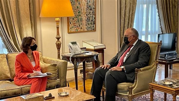 شكري والأميرة ريم