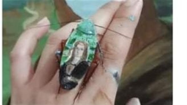 الرسم على الصراصير