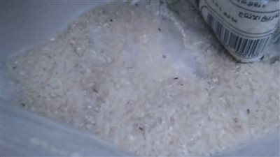 ضبط 109 أطنان أرز غير صالحة للاستهلاك الآدمي بالغربية │ صور