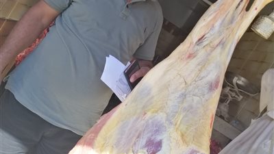 تحرير 14 محضر ذبح خارج المجازر الحكومية بقنا 