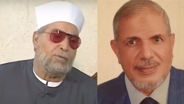 حسن يوسف ونجل الشعراوي