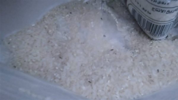 ضبط شكاير أرز داخلها