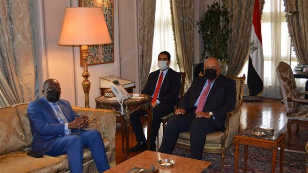 سامح شكري وزير الخارجية