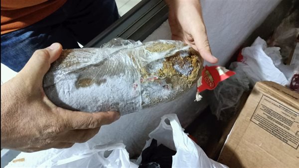 حملة تموينية