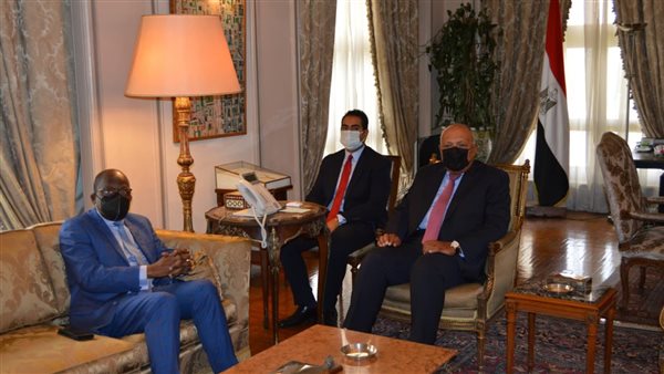 وزير الخارجية ونظيره