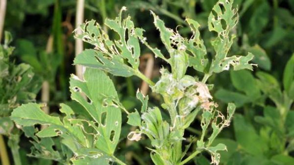 صورة تعبيرية