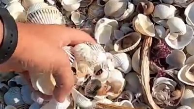 الآثار تروج لـ محافظة السويس عبر مواقع التواصل الاجتماعي