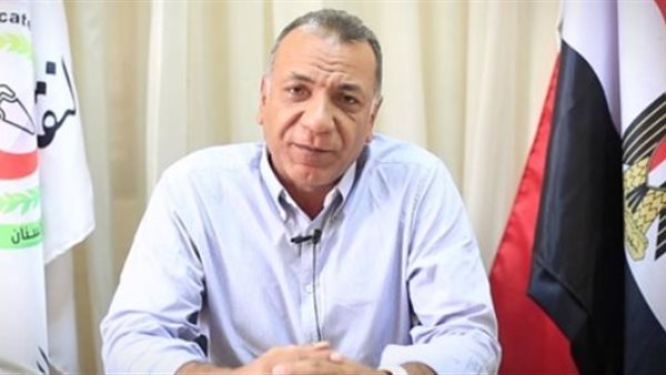 إيهاب هيكل نقيب أطباء