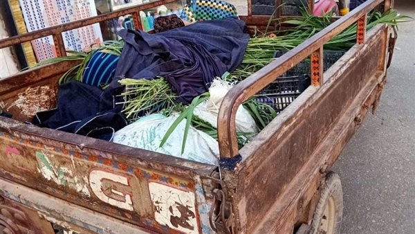 زوج يطعن زوجته بالفيوم