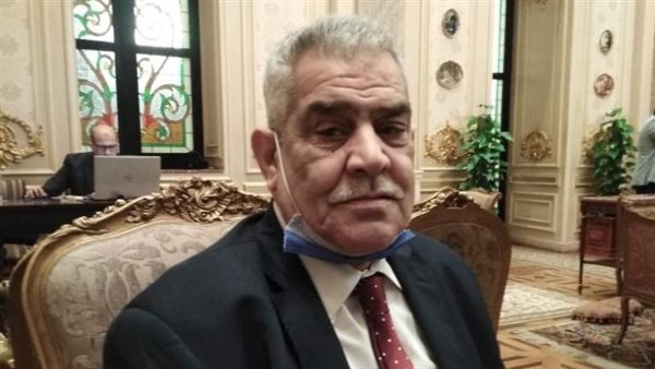 وكيل لجنة النقل بالبرلمان