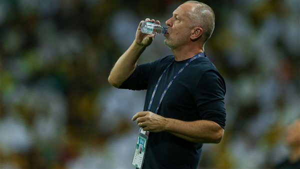 مانو مينيزيس