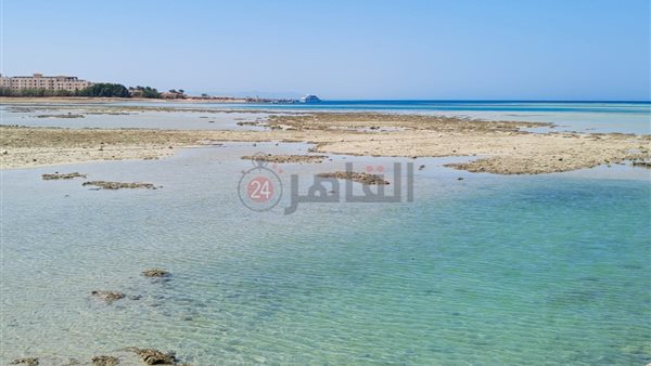 انحسار المياه بشواطئ