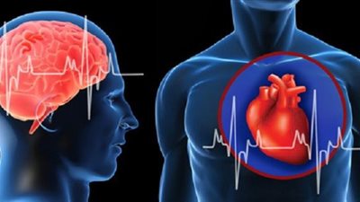 التدخين وحبوب منع الحمل.. أبرز أسباب الجلطة المفاجئة