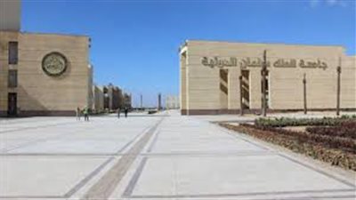 جامعة الملك سلمان الدولية توفر مستشارين لمساعدة طلابها