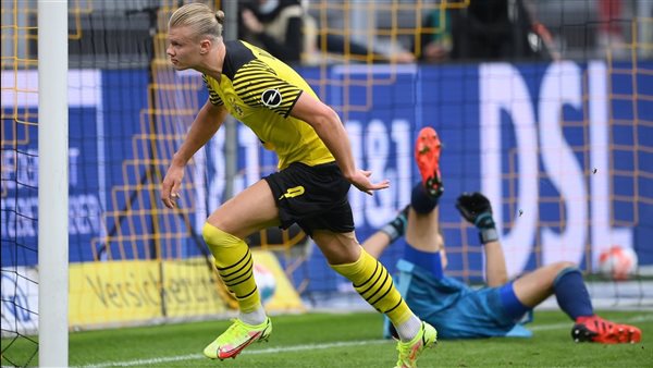 إرلينج هالاند