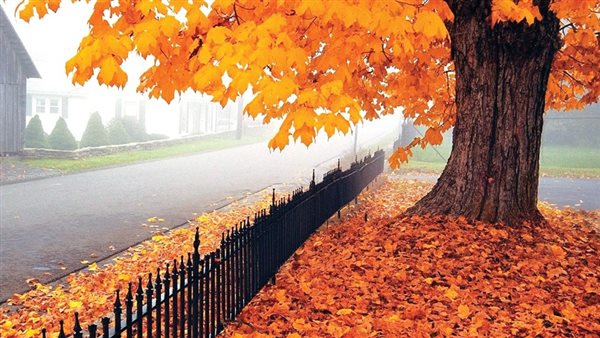 فصل الخريف ـ أرشيفية