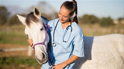 تدفئة السرير ومعالجة الحيوانات من الاكتئاب.. تعرف على أغرب المهن في العالم