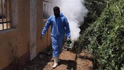 صحة المنيا: تكثيف مكافحة ناقلات ومسببات الأمراض خلال أغسطس الماضي