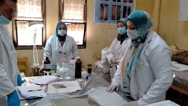 مخزن الآثار بكوم