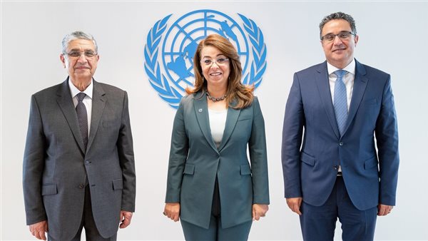 غادة والي ووزير الكهرباء