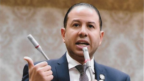 النائب حسن عمار 