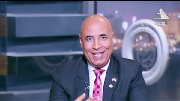 عادل حفني نائب رئيس