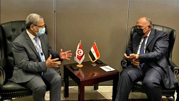 وزير الخارجية سامح