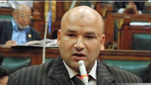 علاء حسانين - أرشيفية