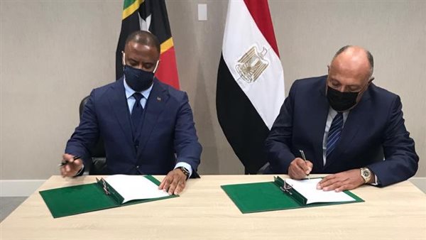 سامح شكري ووزير خارجية