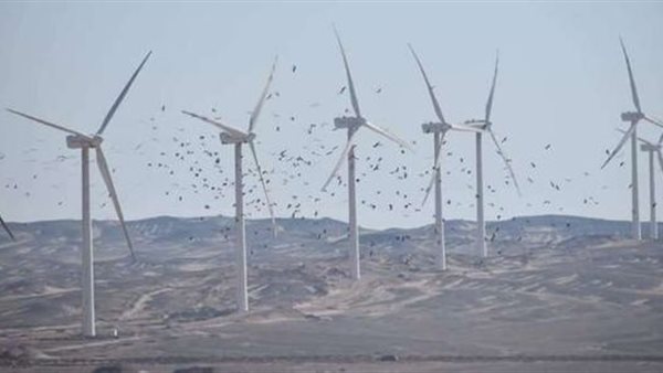 موسم هجرة الطيور