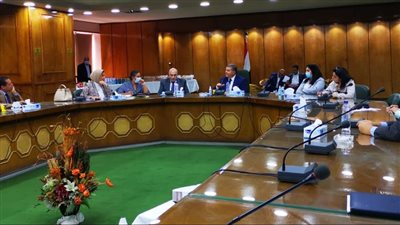 وزير قطاع الأعمال: بيع 33.6 ألف قنطار قطن بنظام المزادات خلال 20 يومًا