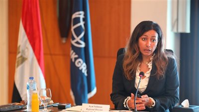 البنك الدولي: مكافحة التغيرات المناخية جزء من خطة مصر للتنمية المستدامة