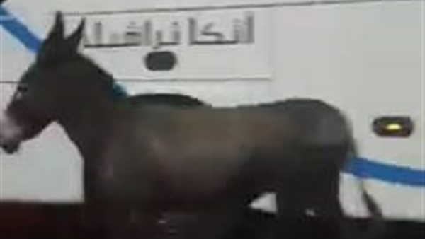 صورة من أحد شوارع