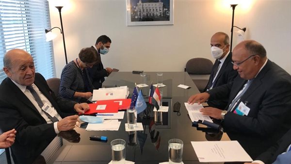 شكري ونظيره الفرنسي