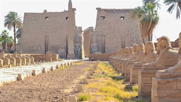 طريق الكباش 