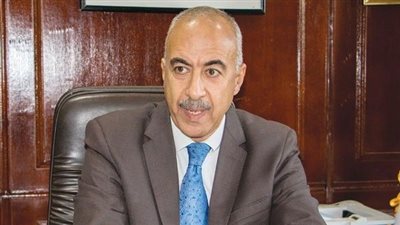 رئيس هيئة الطاقة المتجددة: استراتيجية مصر تعتمد على تنوع مصادر إنتاج الكهرباء