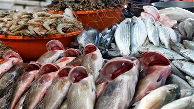 بوري القناة بـ 40 والجمبري بـ 120 جنيهًا للكيلو.. أسعار الأسماك بسوق الإسماعيلية